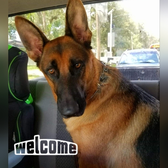 LIVE NOW ! - Picture 17 of 17